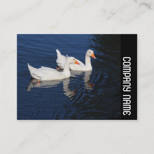 Side Band - Emden Geese Business Card (Front)