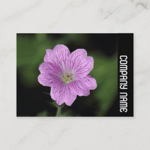 Side Band - Geranium Endressii Business Card