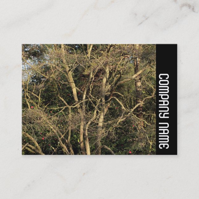 Side Band - Golden Branches Business Card (Front)