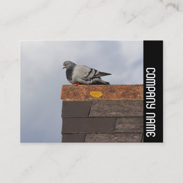Side Band - Good Morning Pigeon Business Card (Front)