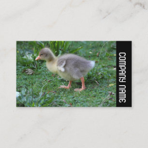 Side Band - Gosling 02 Business Card
