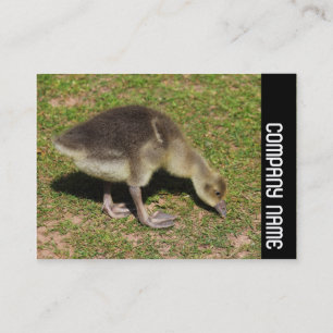 Side Band - Gosling Business Card