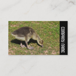 Side Band - Gosling Business Card