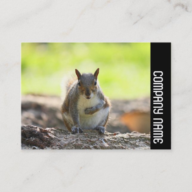 Side Band - Grey Squirrel Business Card (Front)
