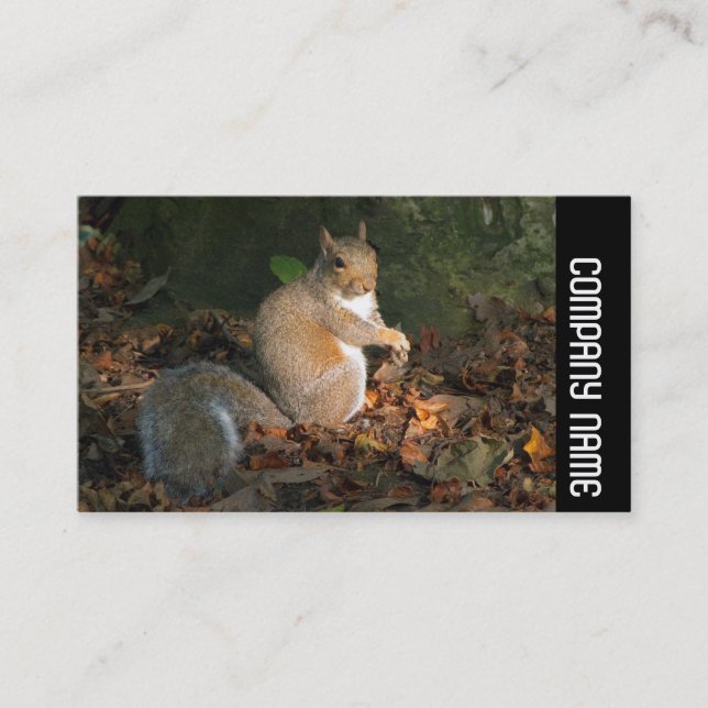 Side Band - Grey Squirrel Business Card (Front)