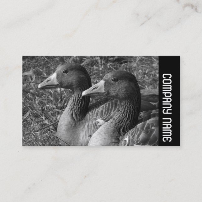 Side Band - Greylag Geese B&W Business Card (Front)