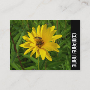 Side Band - Hover Fly on a Yellow Chrysanthemum Business Card
