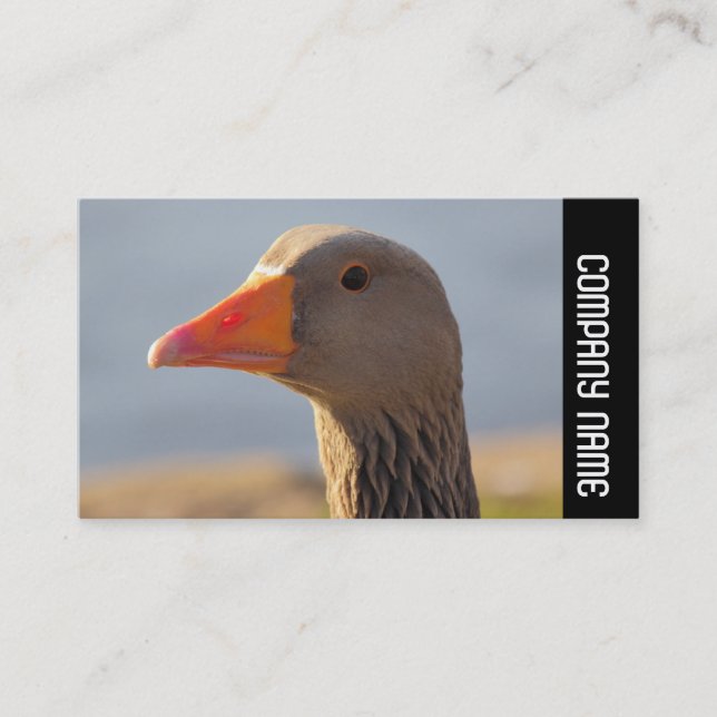 Side Band -  Inquisitive Greylag Goose Business Card (Front)