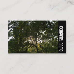 Side Band -  Japanese Branches 04 Business Card