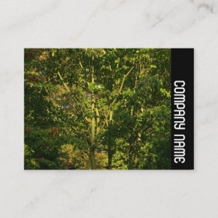 Side Band - Japanese Branches 05 Business Card