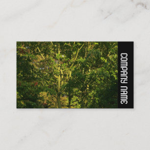 Side Band - Japanese Branches 05 Business Card