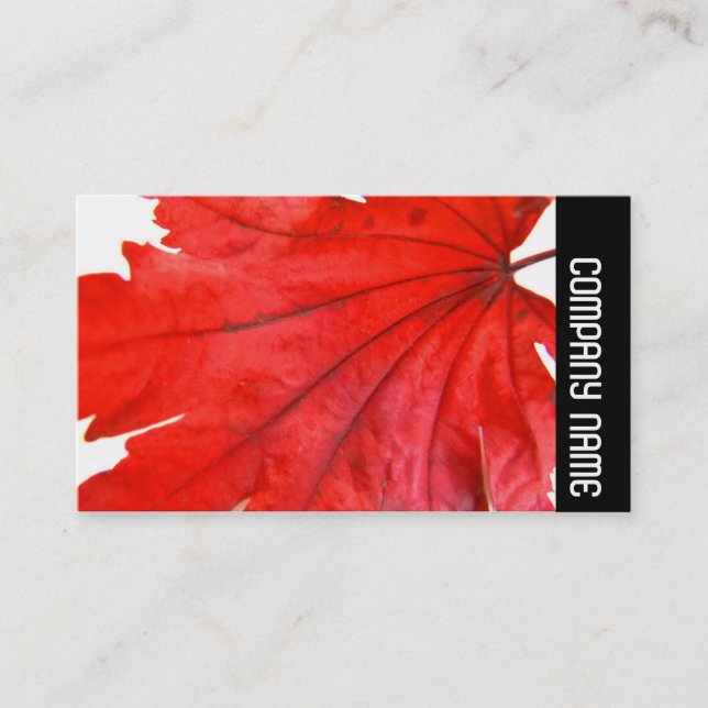Side Band - Japanese Maple Leaf Business Card (Front)