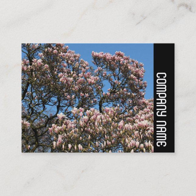 Side Band - Magnolia Tree in Bloom Business Card (Front)