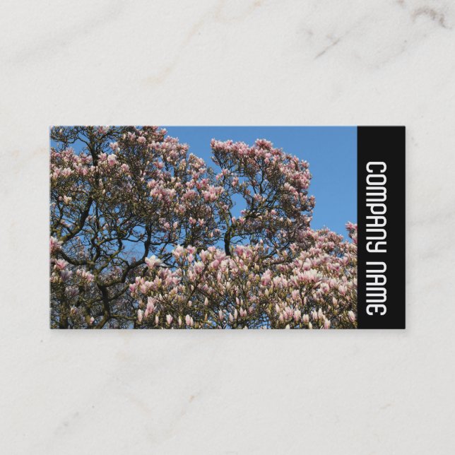 Side Band -  Magnolia Tree in Bloom Business Card (Front)
