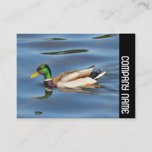 Side Band - Mallard Duck Business Card