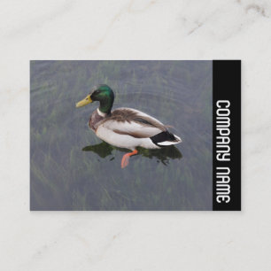 Side Band - Mallard Duck Business Card