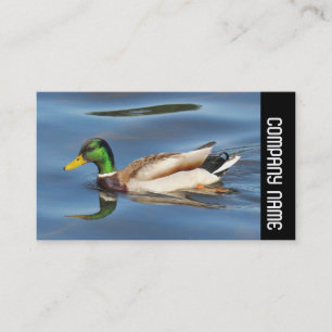Side Band -  Mallard Duck Business Card