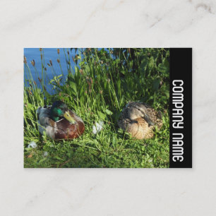 Side Band - Mr and Mrs Mallard Business Card