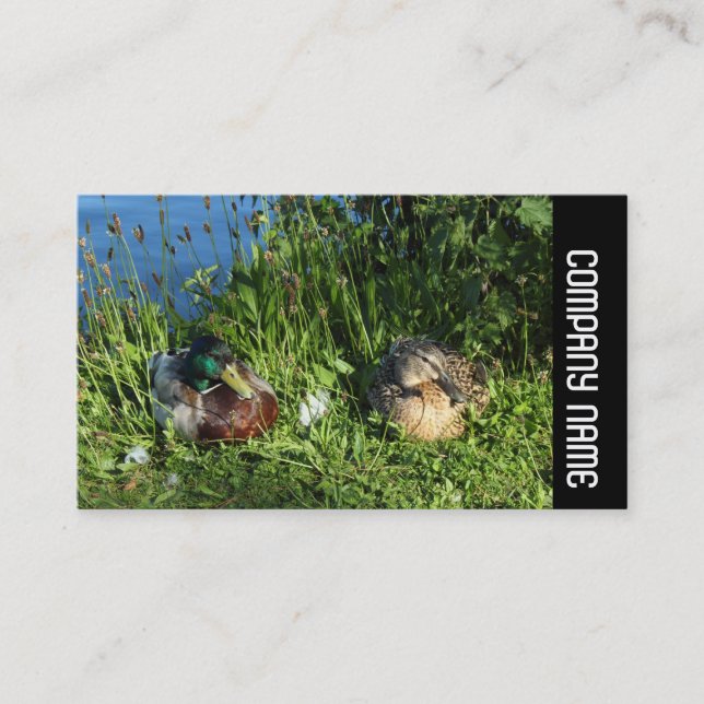Side Band -  Mr and Mrs Mallard Business Card (Front)