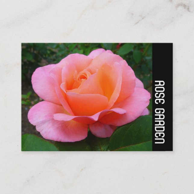 Side Band - Pink Rose Business Card (Front)