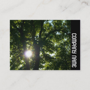 Side Band - Sun Through Trees Business Card