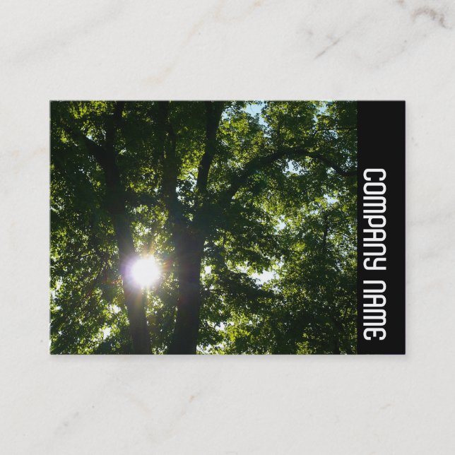 Side Band - Sun Through Trees Business Card (Front)