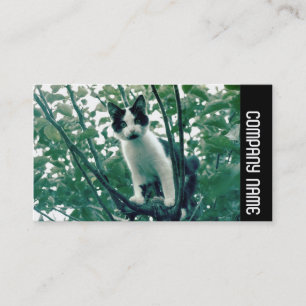 Side Band - Superfluity of Naughtiness Business Card