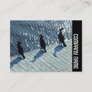 Side Band - Three Cormorants Business Card