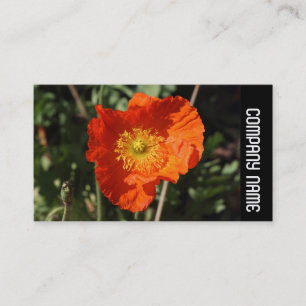 Side Band -  Welsh Poppy (Orange) Business Card