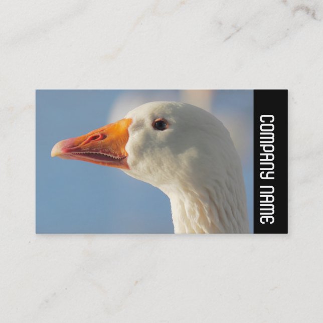 Side Band -  White Goose Business Card (Front)