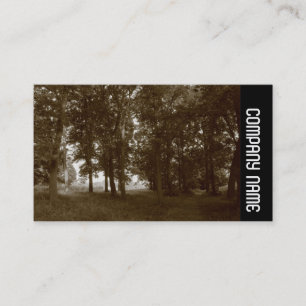 Side Band - Woods, Bute Park Cardiff Business Card