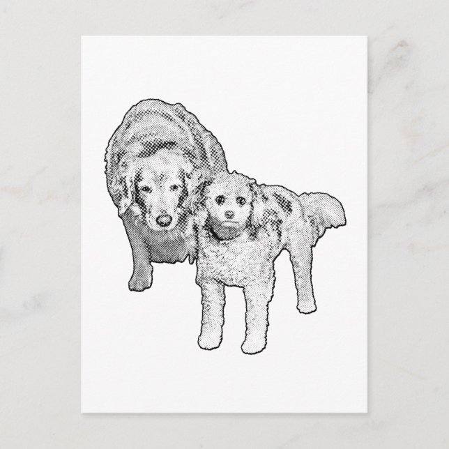 Side by Side, Bright Hello Postcard (Front)