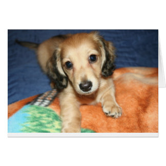 side by side or miles apart