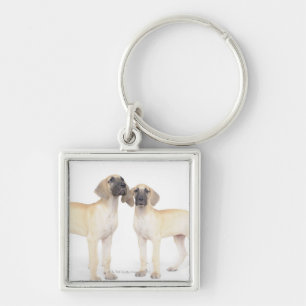 side by side,small group of animals,togetherness key ring