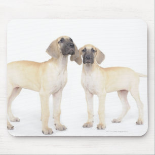 side by side,small group of animals,togetherness mouse pad