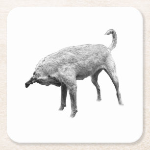 Side-Glance Terrier Charm Square Paper Coaster