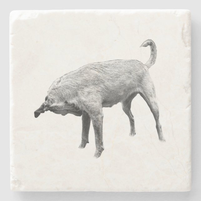 Side-Glance Terrier Charm Stone Coaster (Front)
