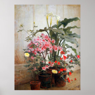 Side of a Greenhouse Poster
