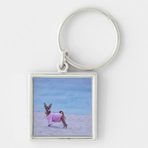 Side profile of a dog standing on the beach, key ring