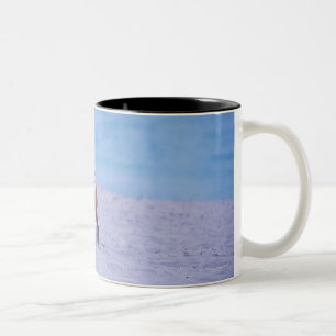 Side profile of a dog standing on the beach, Two-Tone coffee mug