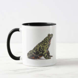 Side View of an Oriental Fire Bellied Toad Mug