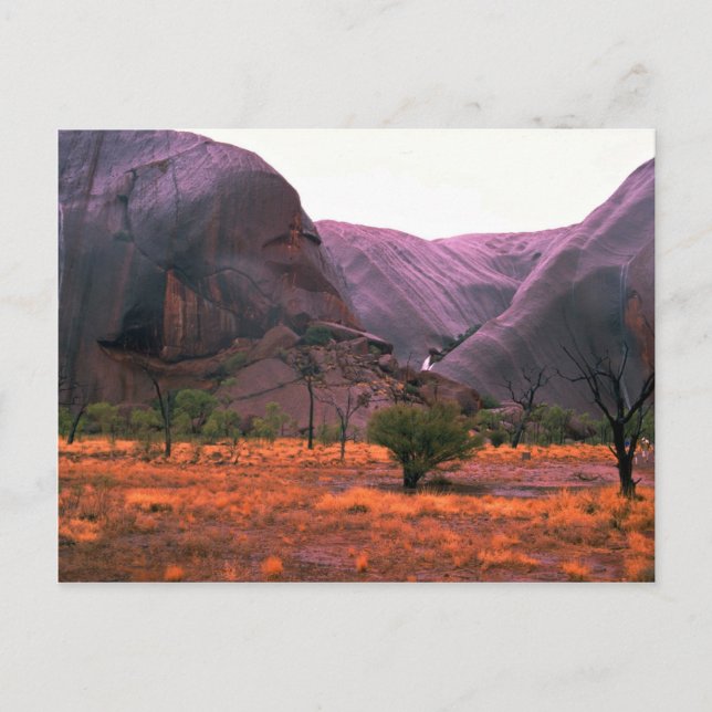 Side view of Ayers Rock, Australia Desert Postcard (Front)