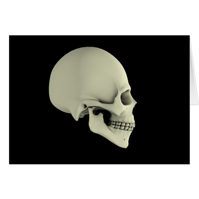 Side View Of Human Skull (Front Horizontal)