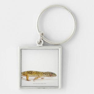 Side view of leopard gecko lizard key ring