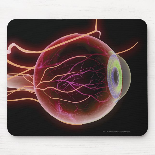 Side view of the blood vessels of the eye mouse pad (Front)