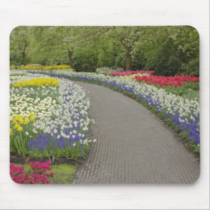 Sidewalk pathway through tulips and daffodils, 2 mouse pad