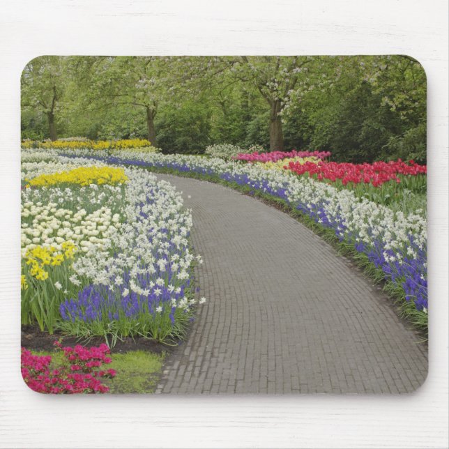 Sidewalk pathway through tulips and daffodils, 2 mouse pad (Front)