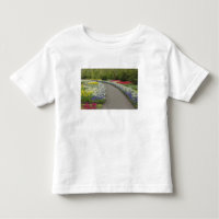 Sidewalk pathway through tulips and daffodils, 2