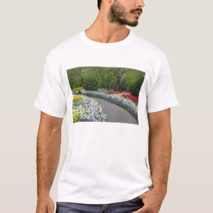 Sidewalk pathway through tulips and daffodils, T-Shirt