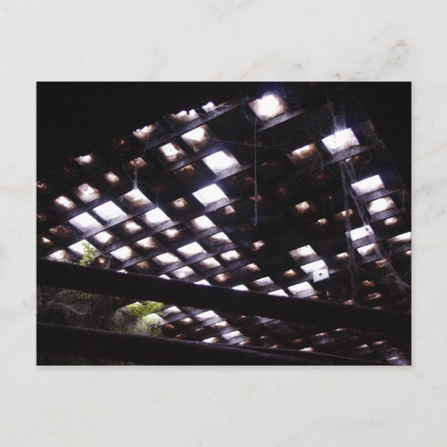 Sidewalk Skylight From Below Postcard (Front)